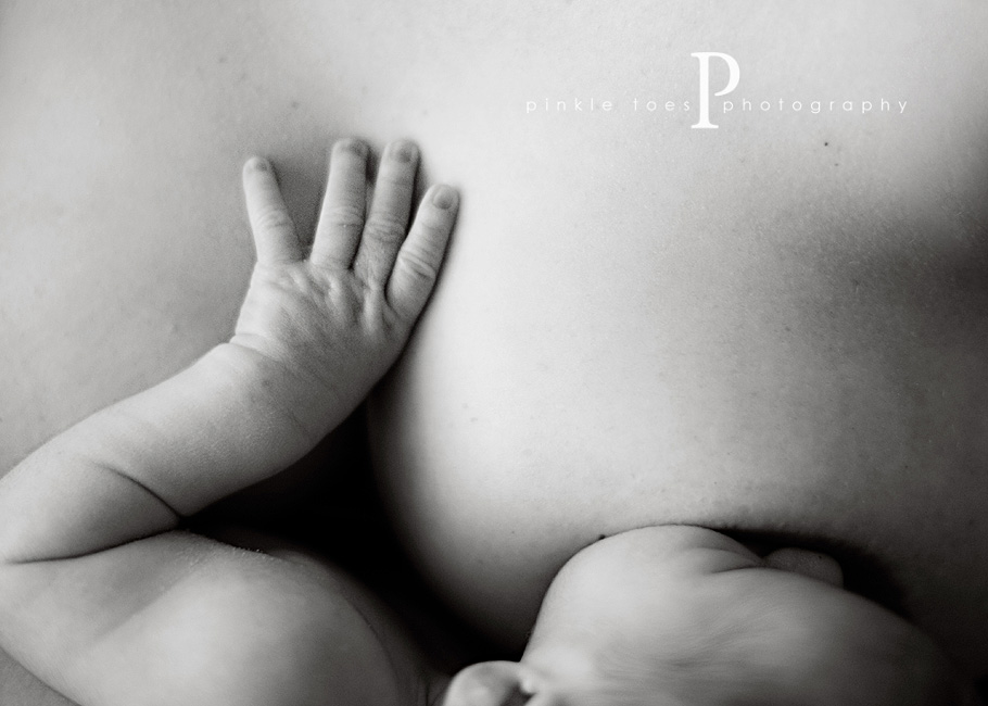 pom_austin_newborn_photographer.jpg