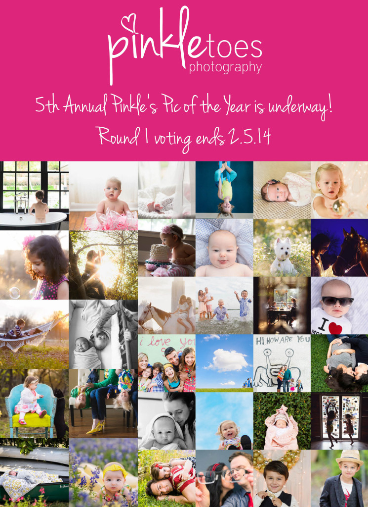 5th Annual Pinkle's Pic of the Year - Round 1 NOW through midnight ...