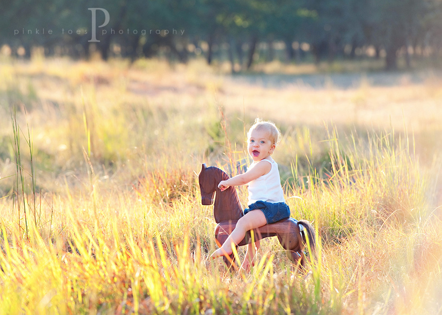 PINKLE TOES PHOTOGRAPHY - Austin's Family Photographer